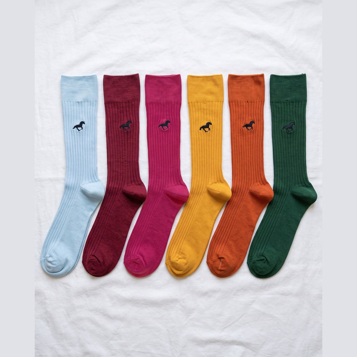 Louluu Galloper ribbed cotton crew socks in six colours — light blue, burgundy, raspberry, mustard, burnt orange and forest green — flat lay